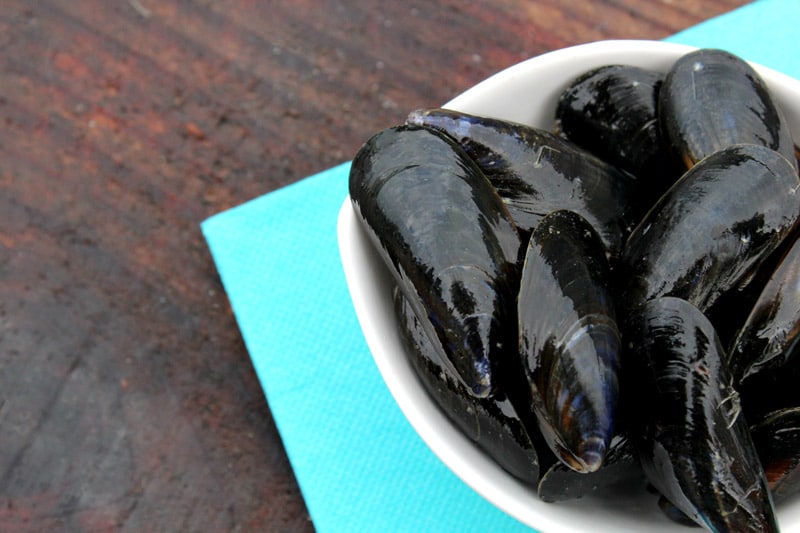 Common mussels